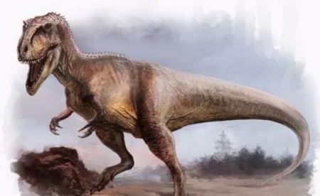 单脊龙：新疆中型食肉三角龙（长5米,距今1.7亿年前）