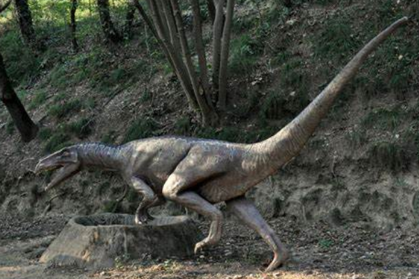 大型食肉三角龙:哥斯拉龙 体长5.5米三叠纪顶级掠食者