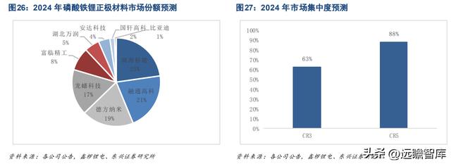 磷酸铁锂和三元锂市场占有率（正极材料已成重要增长极）(23)